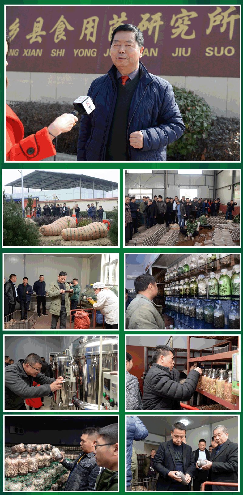 图片关键词