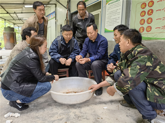 图片关键词 图片关键词
