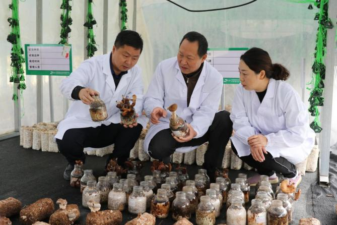 图片关键词 图片关键词