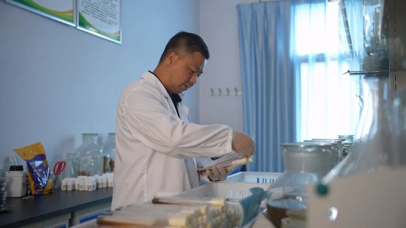 图片关键词 图片关键词