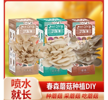 新品推荐：J9集团蘑菇盒子
