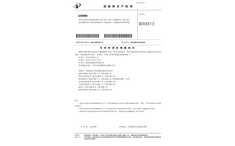 专利：一种半代种麻的优化栽培步骤