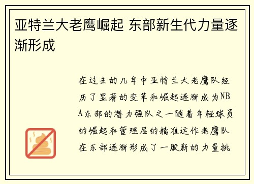 亚特兰大老鹰崛起 东部新生代力量逐渐形成